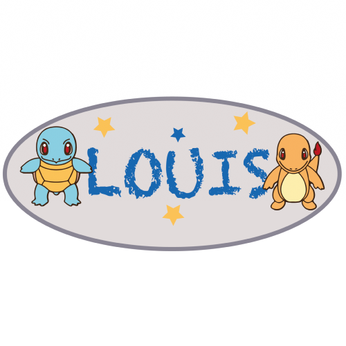 Plaque de porte ovale personnalisée avec Carapuce et Salamèche, format 22x13cm décoration chambre enfant Pokémon