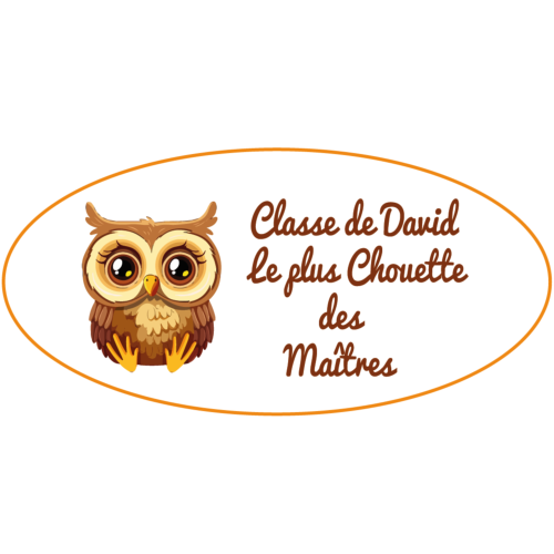 Plaque de porte de classe personnalisée Le plus chouette des maîtres